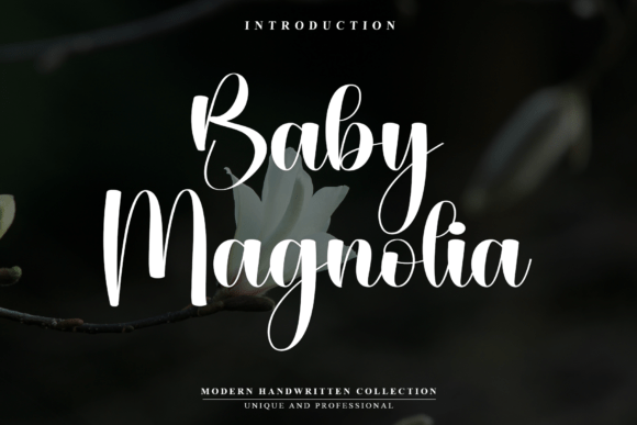 Baby Magnolia: The Elegant Script Font for Crafters