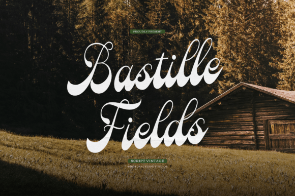Bastille Fields: A Vintage Script Font for Branding