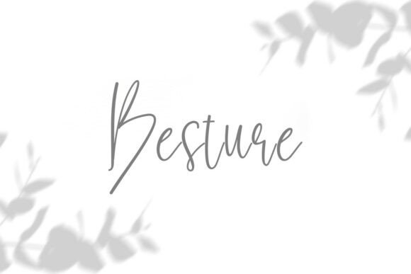 Besture Typeface for Modern Web Design