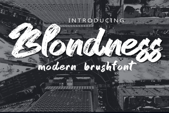 Blondness Font for Modern Web Design