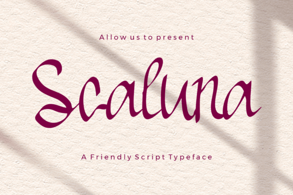 Schaluna Script Font for Campaign Clarity