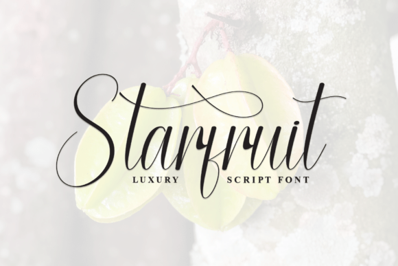 Starfruit Font Review for Modern Campaigns