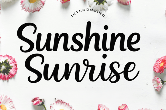 Sunshine Sunrise Script Font for Campaigns