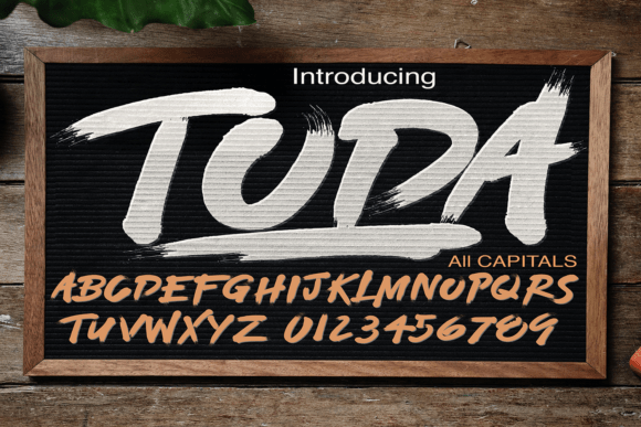 Toda: Bold Script Font for Modern Campaigns
